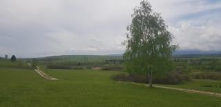 Soulgarden - - 1