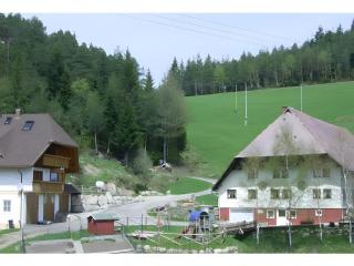 Hinterhauensteinhof - Hornberg - 9