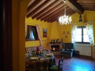 casale la collina dei ciliegi lavender apartment - Acquapendente - 8