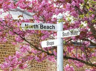 Quackers-Seaside Village-Pet friendly-Parking- - Heacham - 3