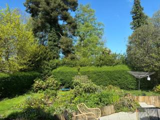 Spacious Family & Pet-Friendly Belfast - Belfast - 5