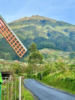 Holand style Vila Comfy for Family blue - 7