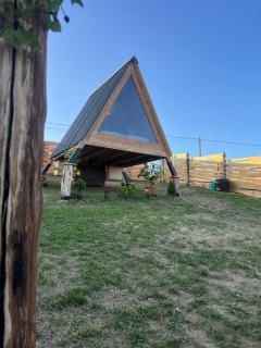 Glamping Altare in the vineyards - Dogliani - 3