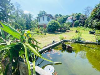 Blue Serenity House in Srithanu - Srithanu - 5