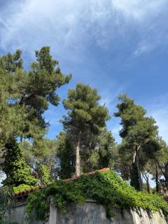 Helios Apartament - Draç - 4