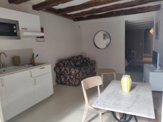 Terrasse et jardin privatif - hyper centre, neuf! - Chinon - 4