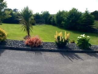Roshine hill - - 2