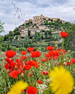 Le Jardin des Oliviers - Apt - 9