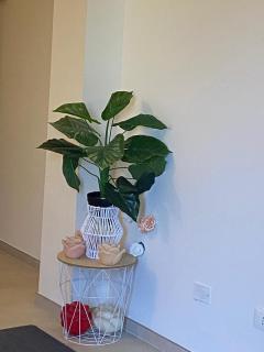 Casa Giardino - - 2