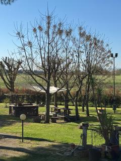 House in the Tuscan Maremma - Braccagni - 7