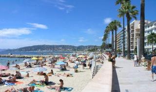 Agréable appartement plages et hypercentre - Antibes - 4