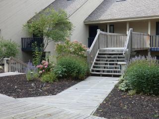 Venture Out at Shanty Creek Resort - 8