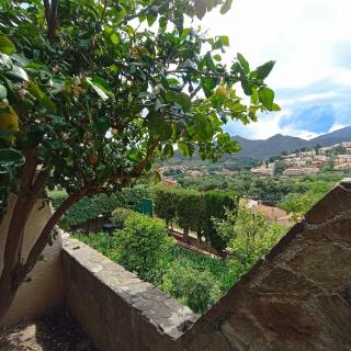3CPF29 Appartement avec jardinet et parking, proche centre-ville - Collioure - 8