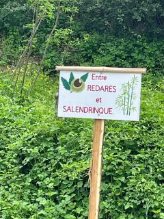Entre REDARES et SALENDRINQUE - Lasalle - 6