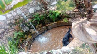 Pousada Sons do Silêncio - Socorro - 4