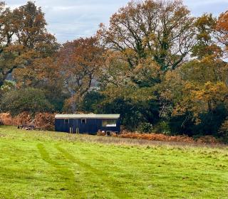 Hop and hare farm - Hastings - 6