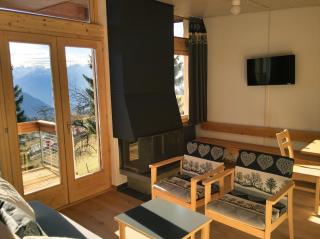 Leysin Lodge - Leysin - 9