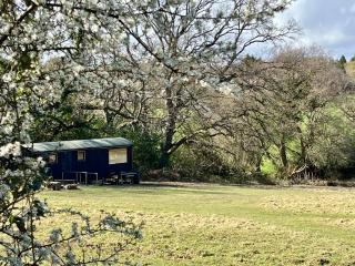 Hop and hare farm - Hastings - 7