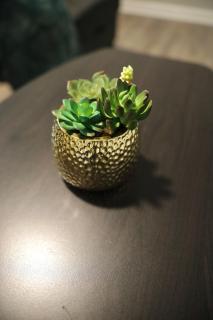 Green Oasis near Braves Stadium! - Marietta - 6