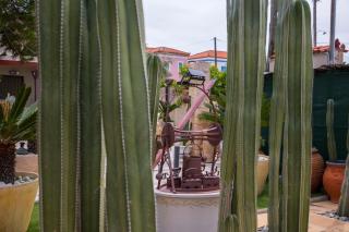 Cactus Aegina Apartments - 3