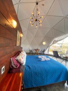 El Gato Glamping con vista a prismas basálticos - Huasca de Ocampo - 3