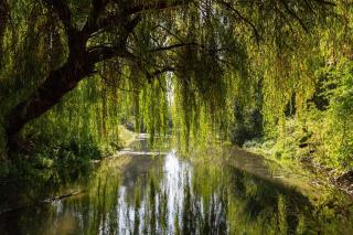 Le Moulin Inattendu, éco-gite à 1h de Paris - - 7