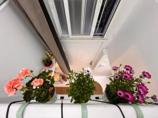 Mini Duplex4 plaza mayor - 3