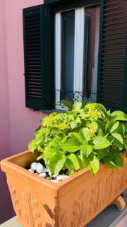La Maison Rose - Maiori - 3