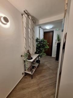 Cattedrale Superior Room plus Terrace Palermo - 5