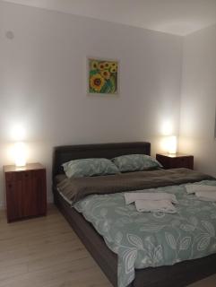 Apartman Petrovic 3 - Sokobanja - 8