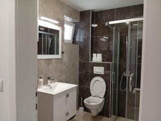 Apartman Petrovic 3 - Sokobanja - 7