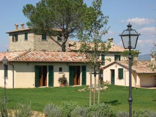 Canto De' Bacci - Foiano della Chiana - 0