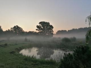 Po šimtamečiais ąžuolais - Bezdonys - 9