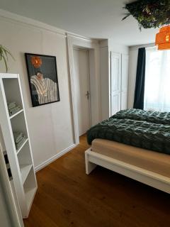 Cozy City Nest - Interlaken - 9