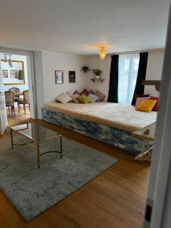 Cozy City Nest - Interlaken - 7