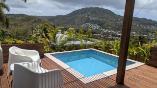 Tropical Haven 2 pieces contemporain avec piscine - 9