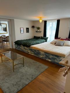 Cozy City Nest - Interlaken - 6
