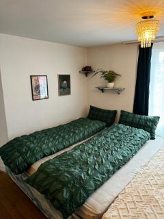 Cozy City Nest - Interlaken - 5