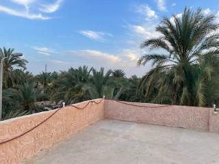 Siwewi green house - 0