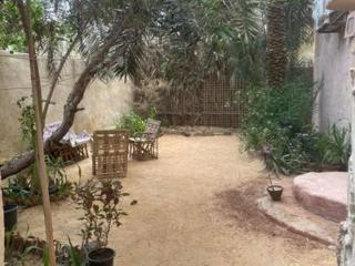 Siwewi green house - Banī Ghālib - 7