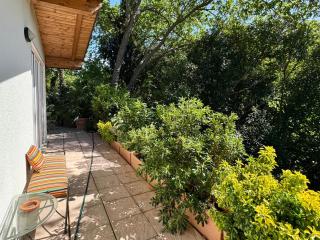 Il podere degli ulivi - Santa Veneranda - 5
