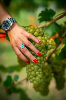 Wine & Ginger - Villa Luxury x8 - Monticelli Brusati - 3