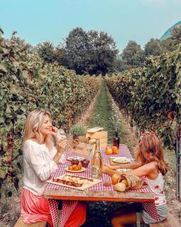 Wine & Ginger - Villa Luxury x8 - Monticelli Brusati - 9