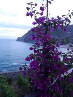 La casa di Mattia - Monterosso al Mare - 1