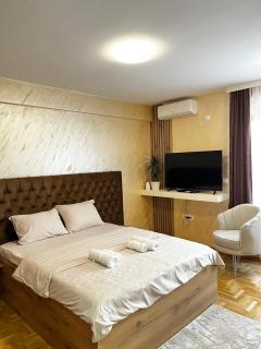 GOLDEN SS Studio - Vrnjačka Banja - 6