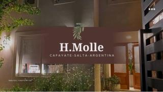 H Molle - Cafayate - 0
