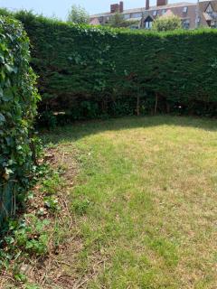 Cottage Normand avec jardin de 80 m2 - 9