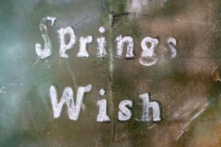 Spring Wish Upon a Star - Eureka Springs - 9