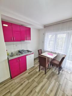 Vila Aleksandra 2 Apartman 10 - 4