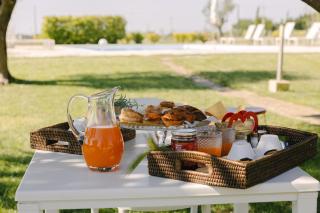 Gli Ulivi di Gino - 3